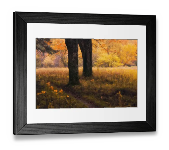 Framed Print : Sable Meadows Framed Print : Sable Meadows