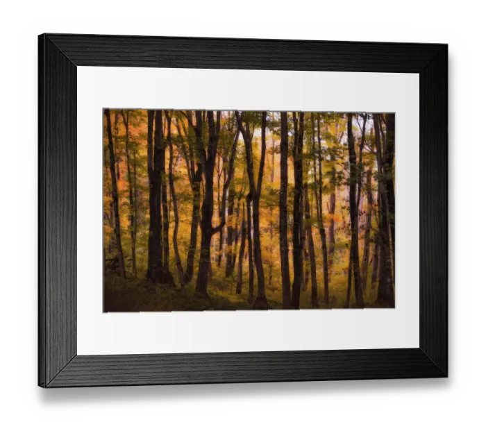 Framed Print : A pathway through Pictured Rocks National Lake Shore near Chapel Falls. Along the way you pass through this enchanting forest Framed Print : A pathway through Pictured Rocks National Lake Shore near Chapel Falls. Along the way you pass through this enchanting forest