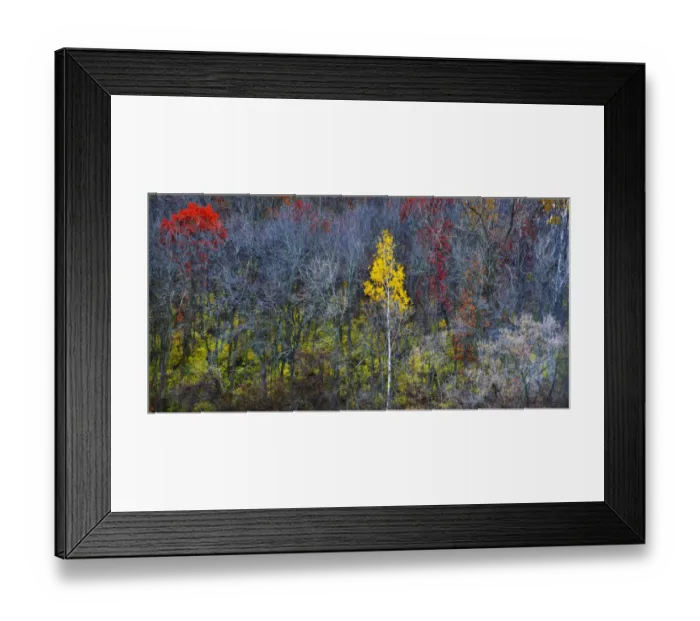 Framed Print : Fall colors in rural Wisconsin Framed Print : Fall colors in rural Wisconsin