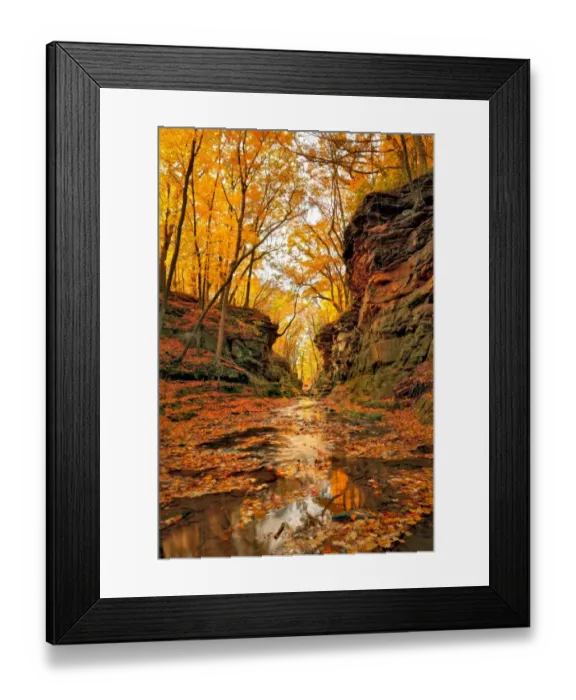 Framed Print : Fall colors at Pewits Nest Skillet Creek area Baraboo, Wisconsin Framed Print : Fall colors at Pewits Nest Skillet Creek area Baraboo, Wisconsin