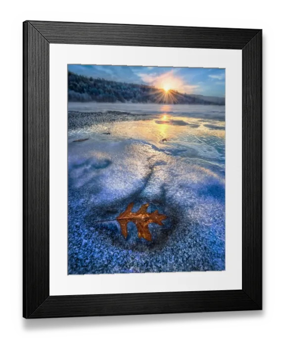 Framed Print : Leaf frozen in lake at sunset Framed Print : Leaf frozen in lake at sunset