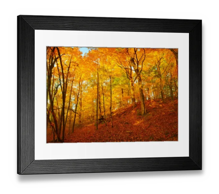 Framed Print : Fall colors at Pewits Nest Skillet Creek area Baraboo, Wisconsin Framed Print : Fall colors at Pewits Nest Skillet Creek area Baraboo, Wisconsin