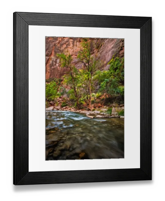 Framed Print : River Walk Zion National Park Virgin River Framed Print : River Walk Zion National Park Virgin River