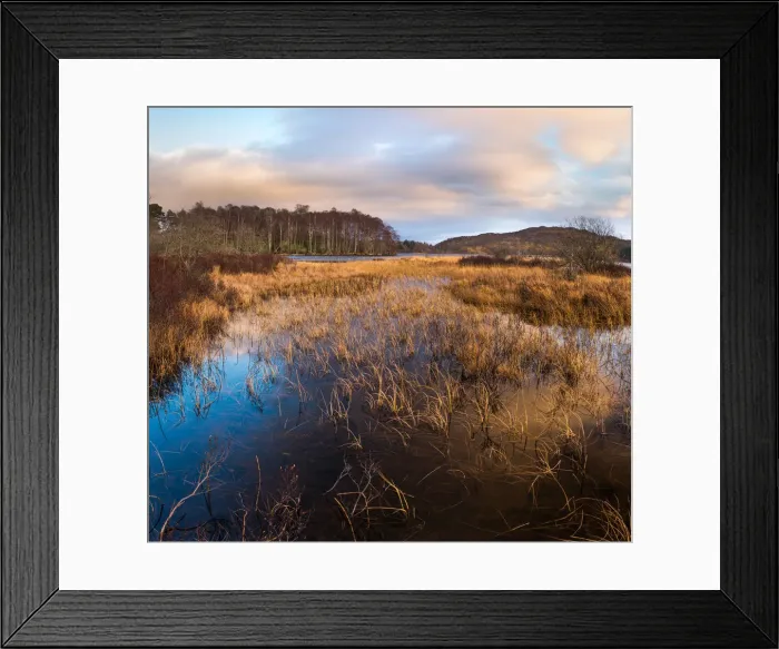 Framed Print : Loch Tummel Scenic Vista Framed Print : Loch Tummel Scenic Vista