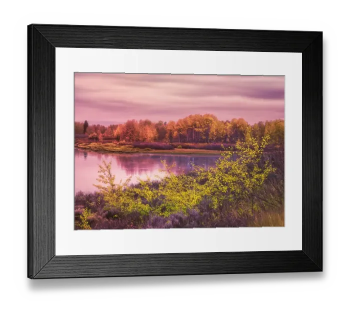 Framed Print : Psychedelic Poe mutantnature2015 Framed Print : Psychedelic Poe mutantnature2015