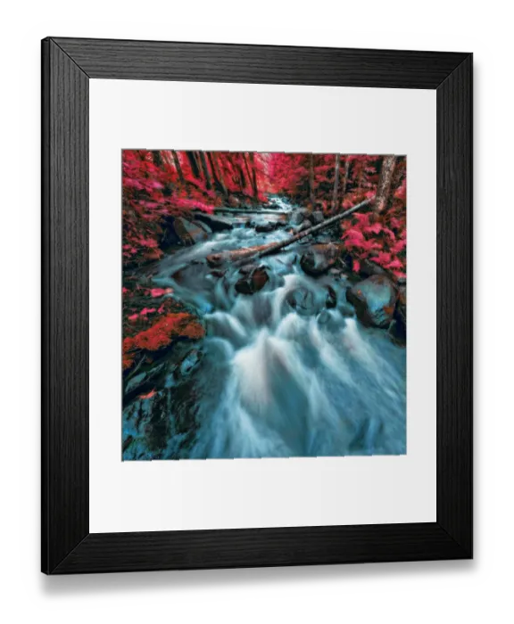 Framed Print : Nature Framed Print : Nature