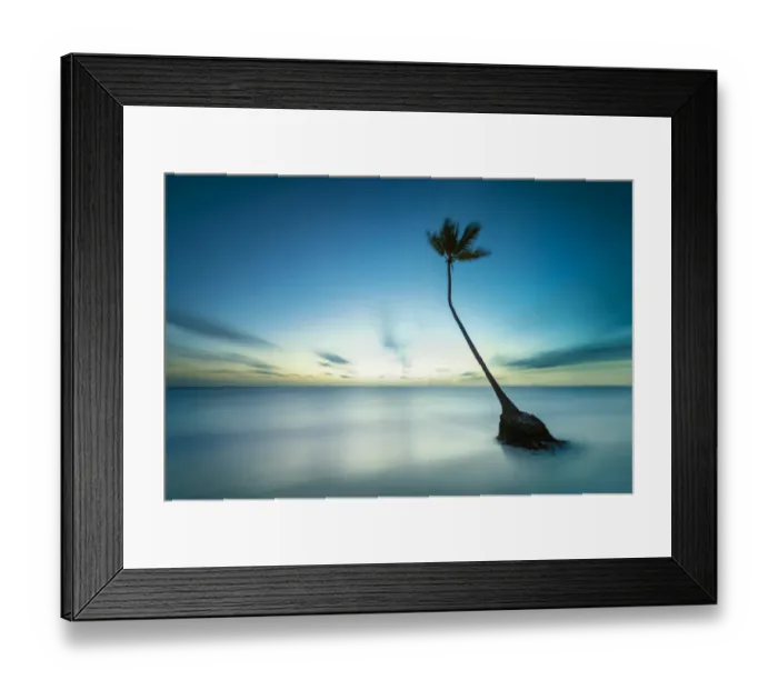 Framed Print : Lone palm tree on a secluded beach Framed Print : Lone palm tree on a secluded beach