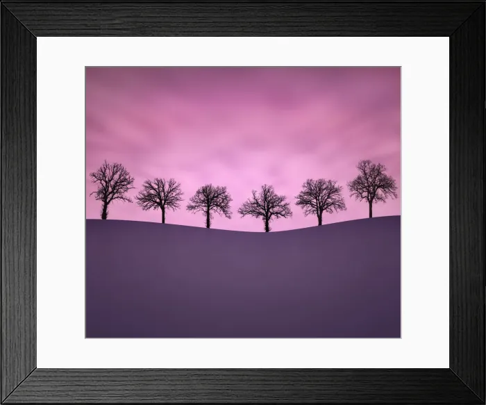 Framed Print : Moments Together Framed Print : Moments Together