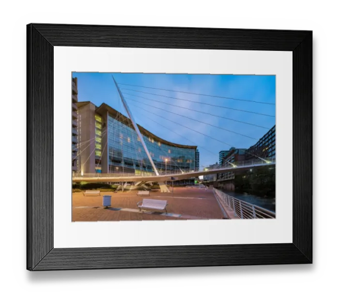 Framed Print : Calatrava Bridge Framed Print : Calatrava Bridge