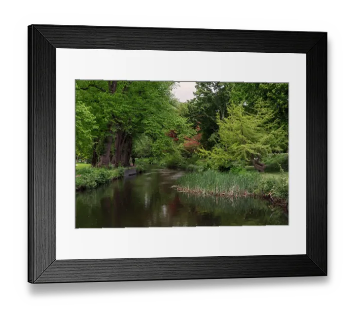 Framed Print : Bute Park, Cardiff Framed Print : Bute Park, Cardiff