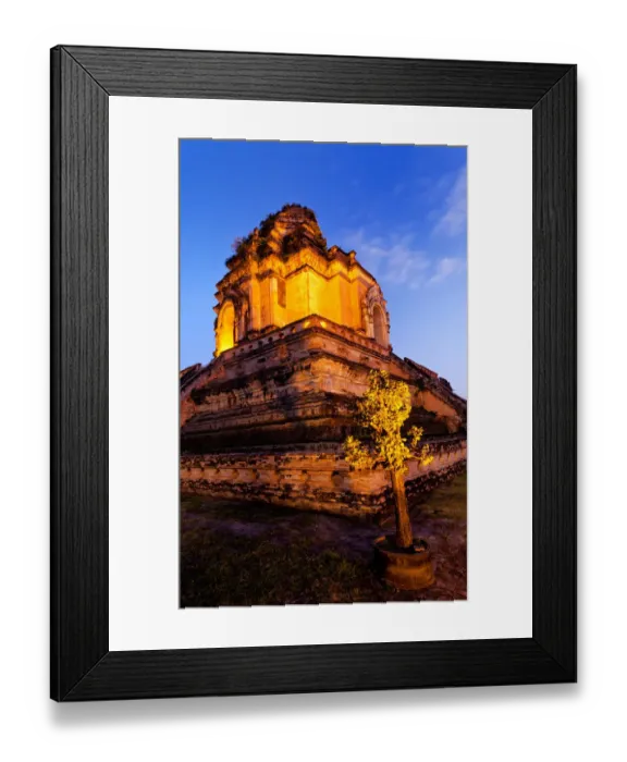 Framed Print : Burning bush Framed Print : Burning bush