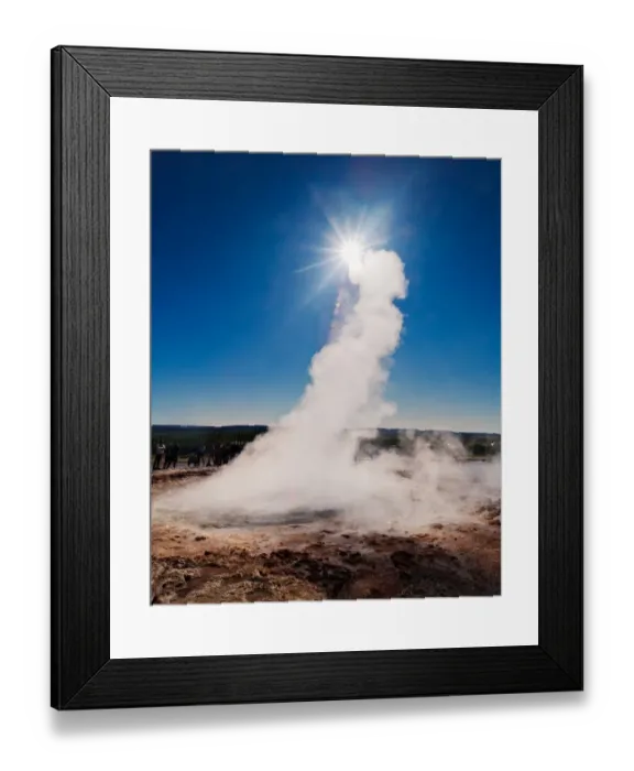 Framed Print : Reaching for the Sun