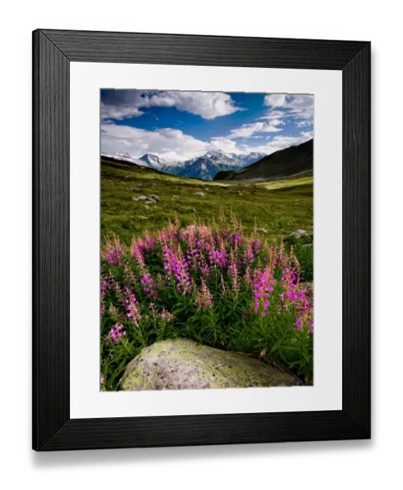 Framed Print : Swiss Alps Framed Print : Swiss Alps