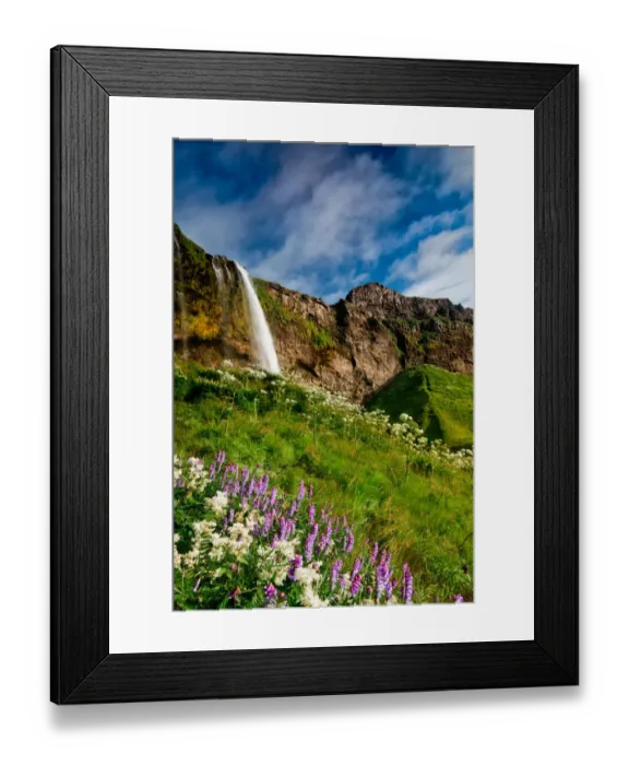 Framed Print : Iceland - Seljalandsfoss: Lush