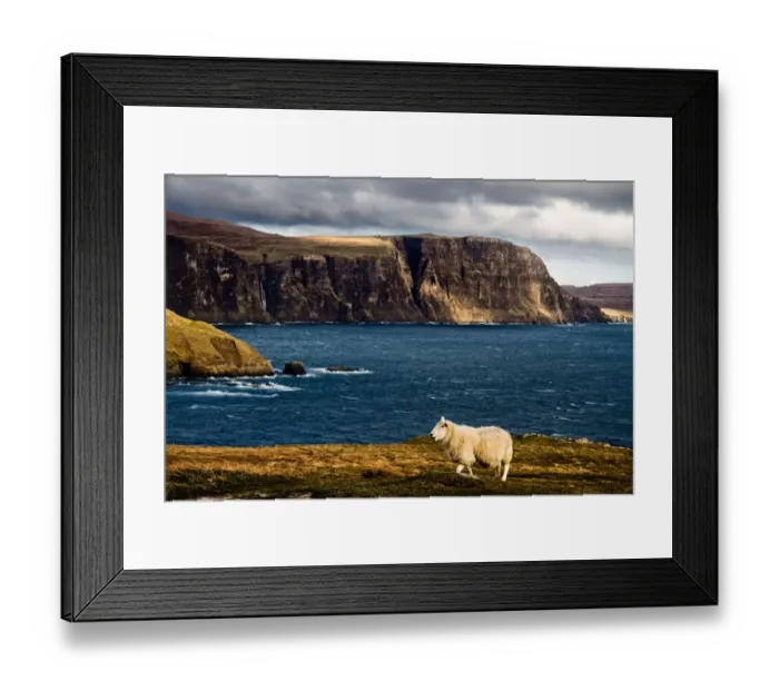 Framed Print : Typically Scottish Framed Print : Typically Scottish