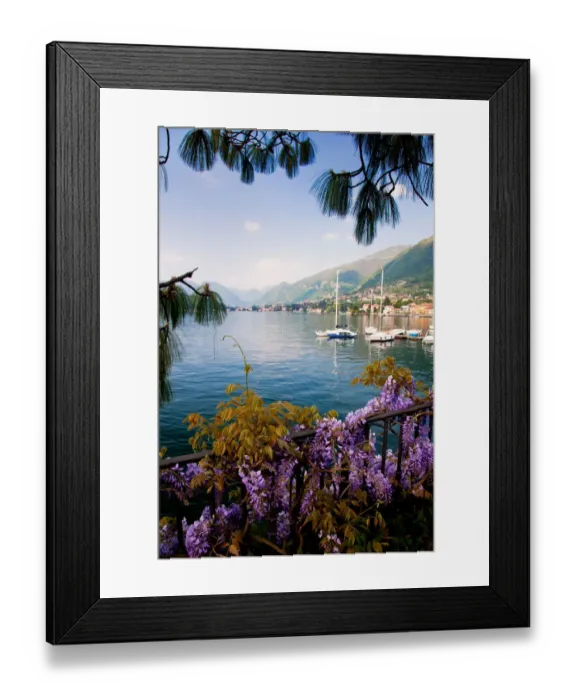 Framed Print : Peace. Lakeside flora frame an idealic scene along banks of Lake Como Framed Print : Peace. Lakeside flora frame an idealic scene along banks of Lake Como