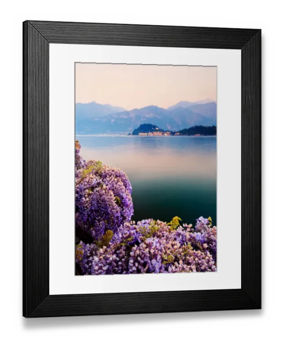 Framed Print : Wisteria, flourishing in the Italian spring and the distant mountains frame