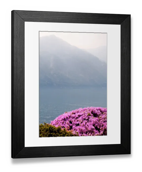 Framed Print : Lake. Flowers with lake and mountain in background, Italy Framed Print : Lake. Flowers with lake and mountain in background, Italy