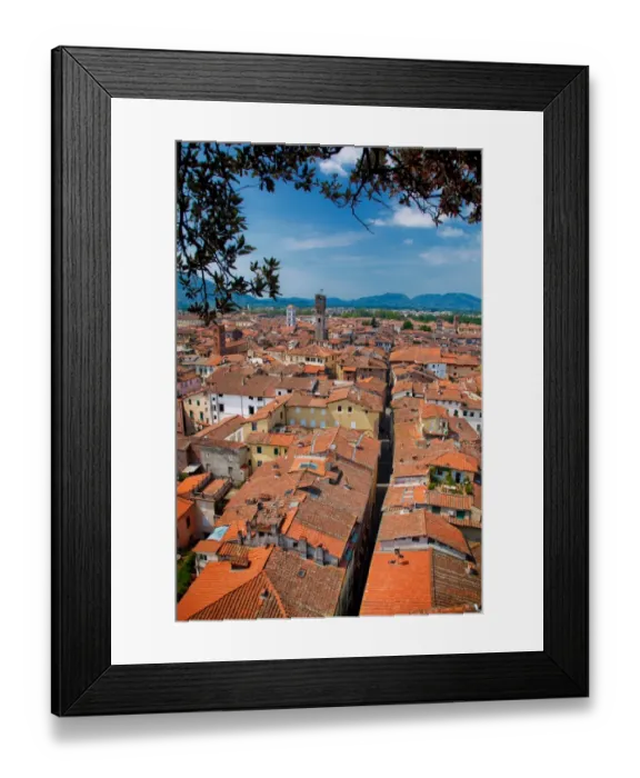Framed Print : Rooftops of houses, Lucca, Italy Framed Print : Rooftops of houses, Lucca, Italy