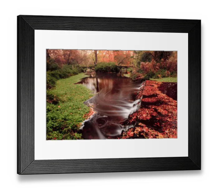Framed Print : Autumn reflections, London, England Framed Print : Autumn reflections, London, England