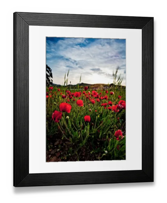 Framed Print : Spain Cabo de Gata Natural Park Framed Print : Spain Cabo de Gata Natural Park