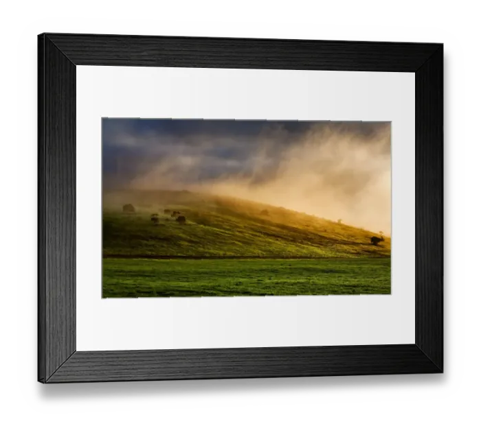 Framed Print : The Shire. Magical lighting conditions bring a dairy farm to life along Framed Print : The Shire. Magical lighting conditions bring a dairy farm to life along