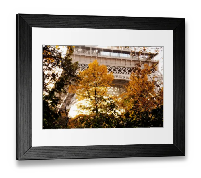 Framed Print : Autumn in Paris Framed Print : Autumn in Paris