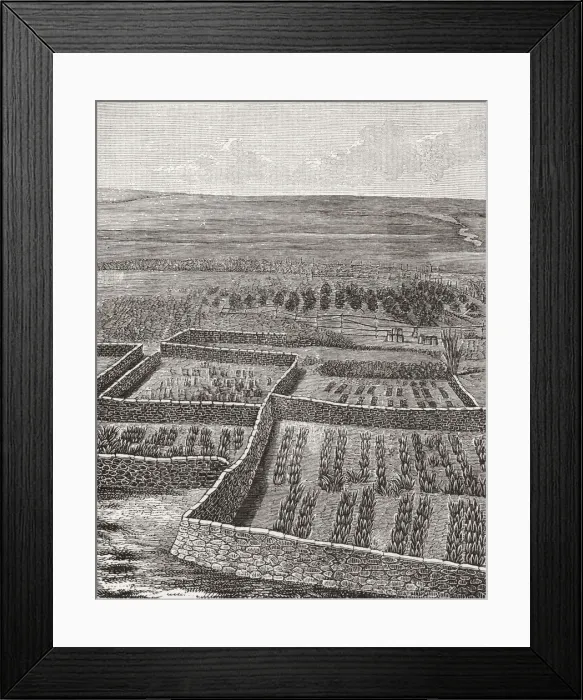 Framed Print : Zuni Vegetable Garden Framed Print : Zuni Vegetable Garden