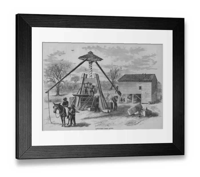 Framed Print : A Cotton Press Framed Print : A Cotton Press