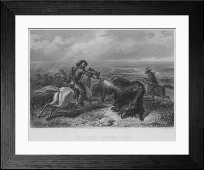 Framed Print : Buffalo Hunting Framed Print : Buffalo Hunting
