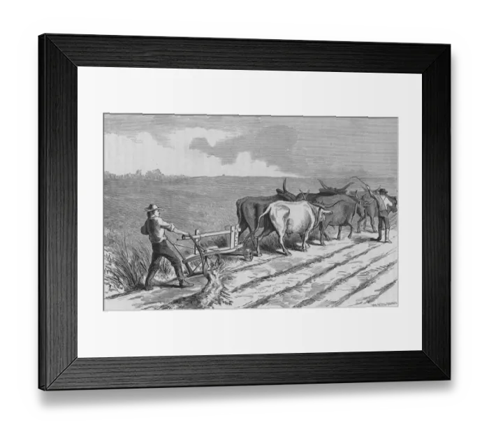 Framed Print : Prairie Ploughing Framed Print : Prairie Ploughing