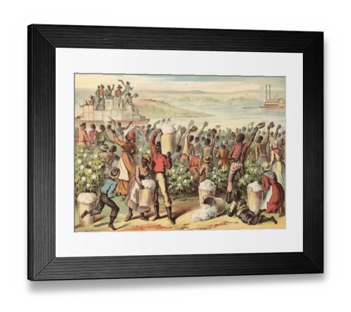 Framed Print : Waving From The Shore Framed Print : Waving From The Shore