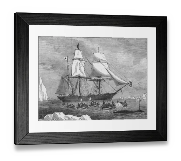 Framed Print : Whaling Ship Framed Print : Whaling Ship