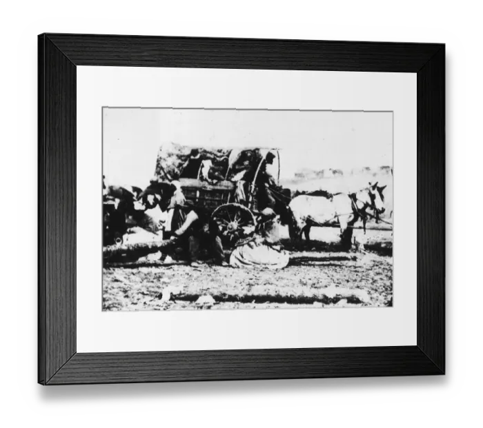 Framed Print : Black Family In Horsedrawn Carriage, 1860s Framed Print : Black Family In Horsedrawn Carriage, 1860s