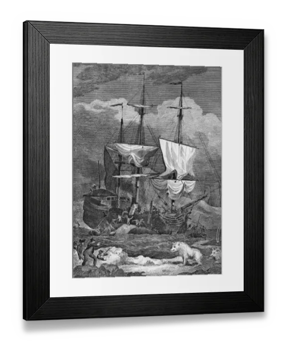 Framed Print : Greenland Whale Fishery Framed Print : Greenland Whale Fishery