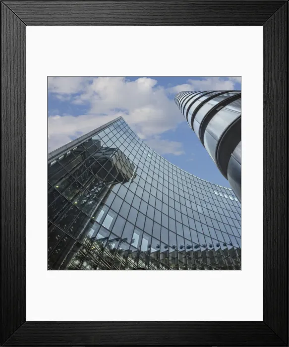 Framed Print : Reflective Vision Framed Print : Reflective Vision