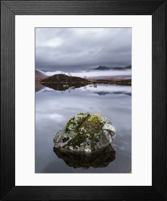 Framed Print : Morning Light Framed Print : Morning Light