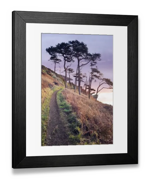 Framed Print : Evening light Framed Print : Evening light