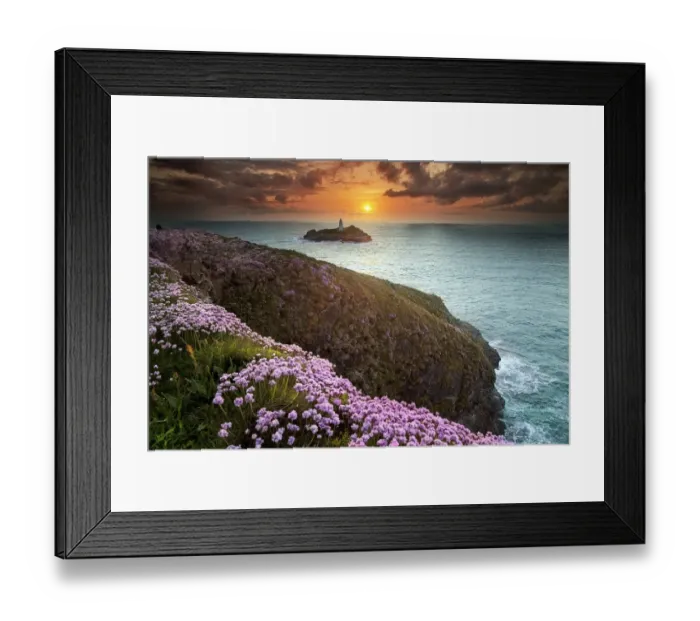 Framed Print : Seascape. Wild flowers in foreground with Godrevy lighthouse in distance