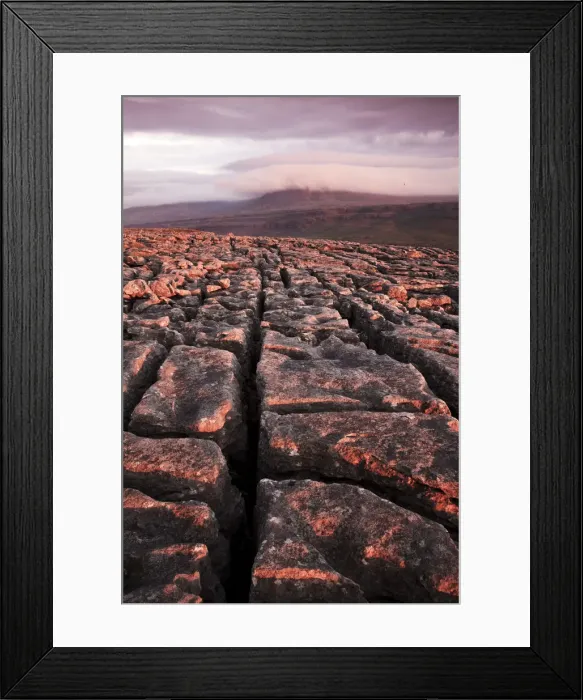 Framed Print : Untarnished land
