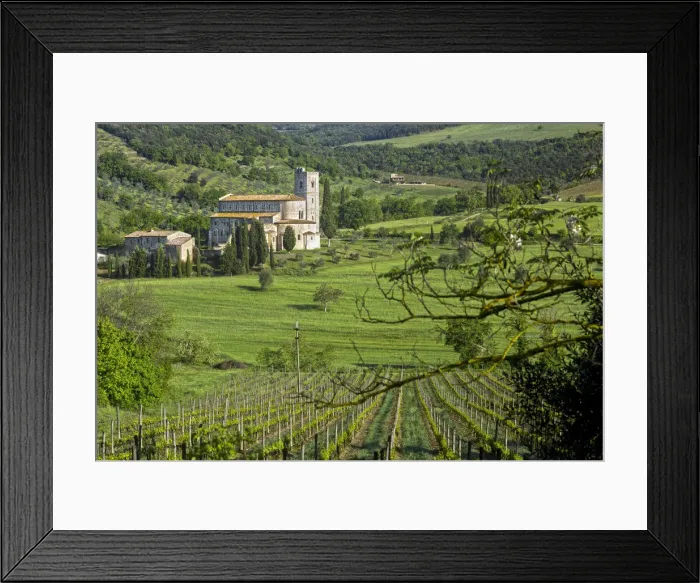 Framed Print : The Saints Framed Print : The Saints