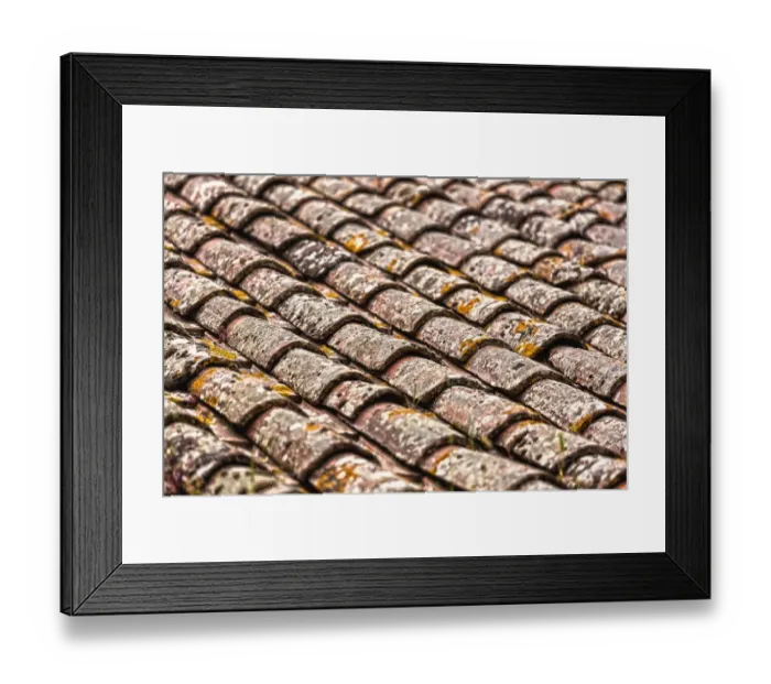 Framed Print : Red tops Framed Print : Red tops