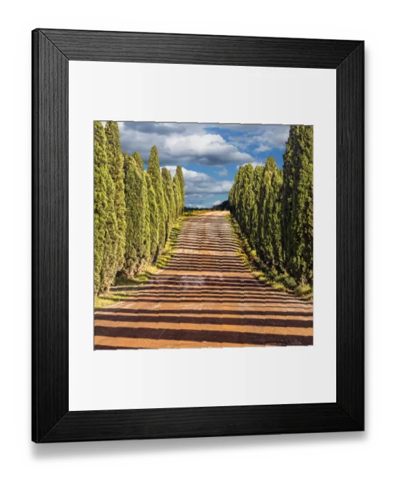 Framed Print : The Avanue Framed Print : The Avanue
