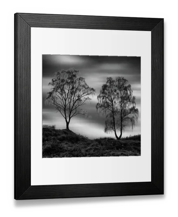 Framed Print : Lights and shadows Framed Print : Lights and shadows