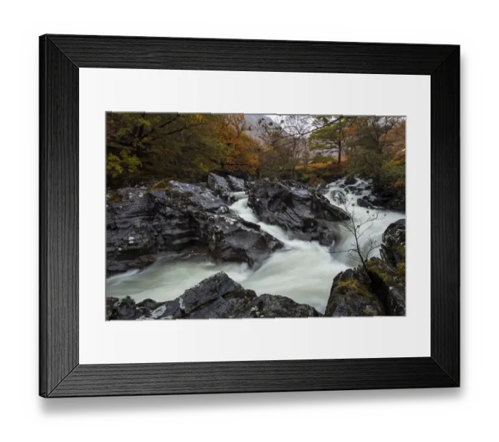 Framed Print : Bursting out Framed Print : Bursting out