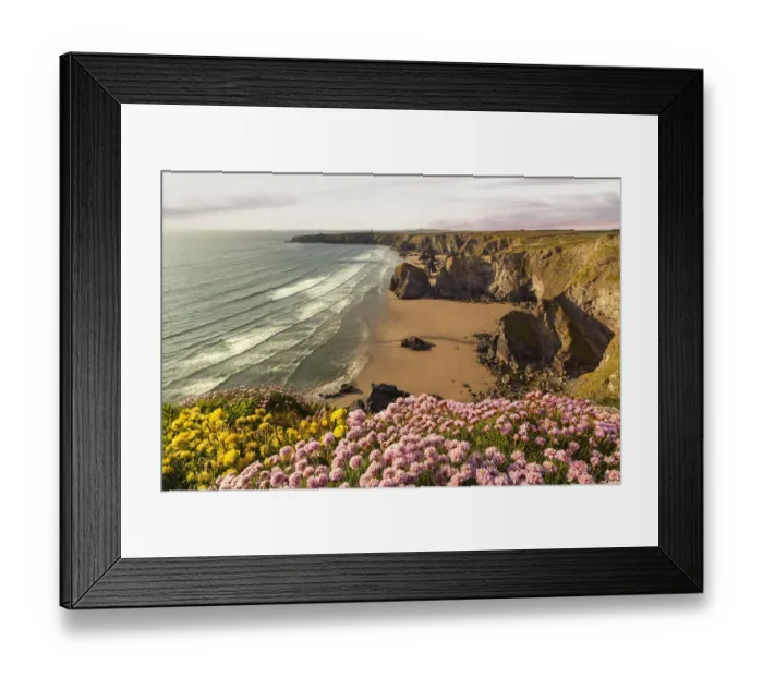 Framed Print : Bliss. Cornish flower power in spring Framed Print : Bliss. Cornish flower power in spring