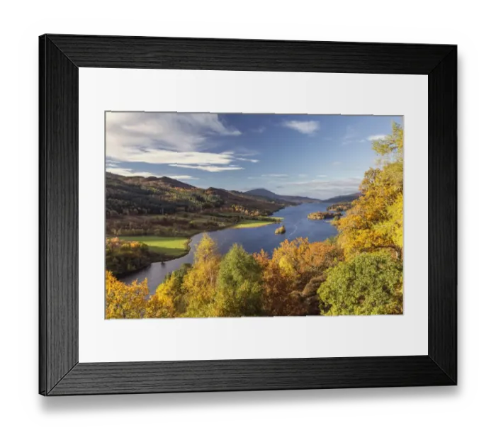 Framed Print : Festival Of Colour Framed Print : Festival Of Colour