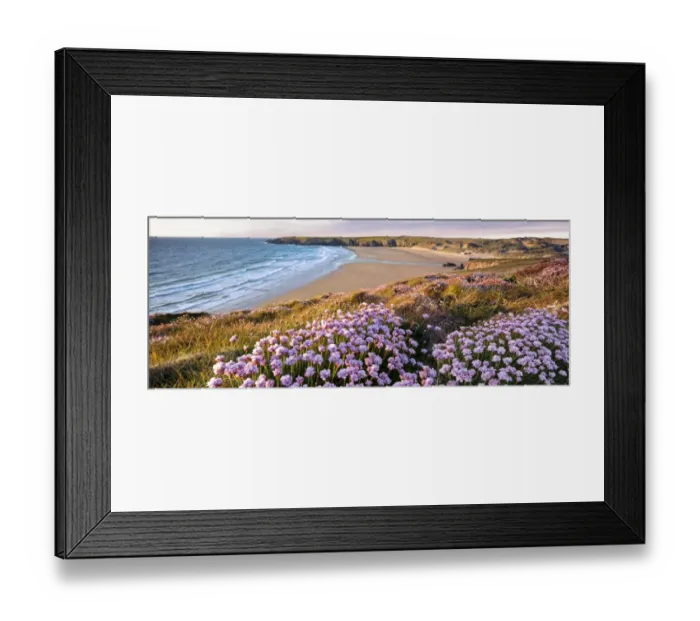 Framed Print : Sea Dreamer Framed Print : Sea Dreamer