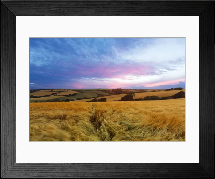 Framed Print : The Gathering Framed Print : The Gathering