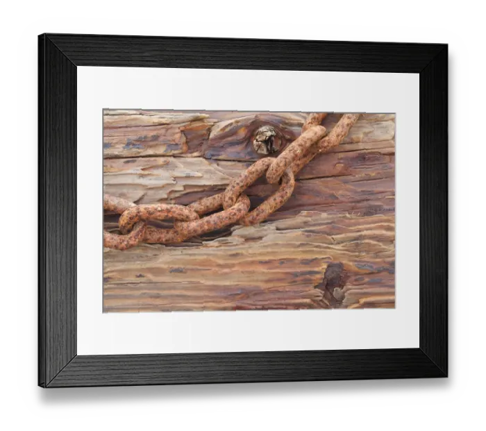 Framed Print : Sea Clipper Framed Print : Sea Clipper